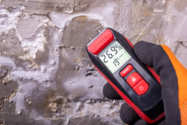 Best Certified Mold Removal  in Asbury Lake, FL